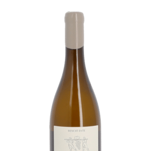 Domaine Benoît Ente Bourgogne blanc 2023