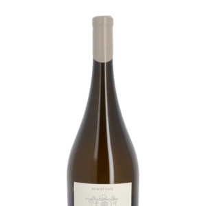 Domaine Benoît Ente Bourgogne Aligoté "Antichtone" 2023